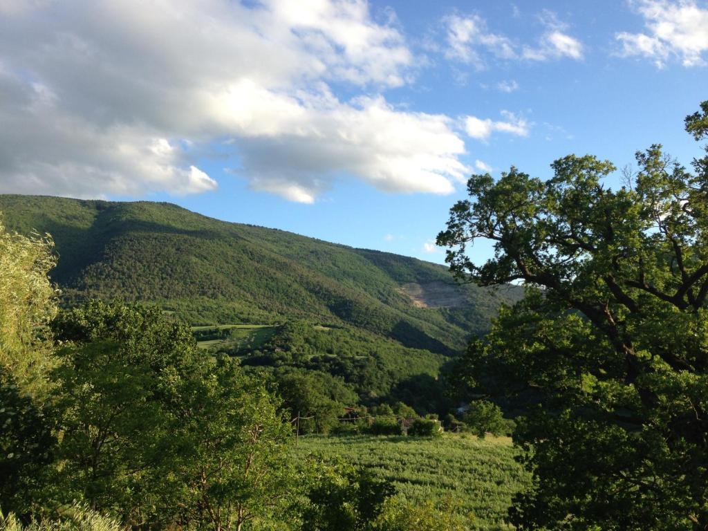 Вилла Agriturismo Nizzi Ассизи Экстерьер фото