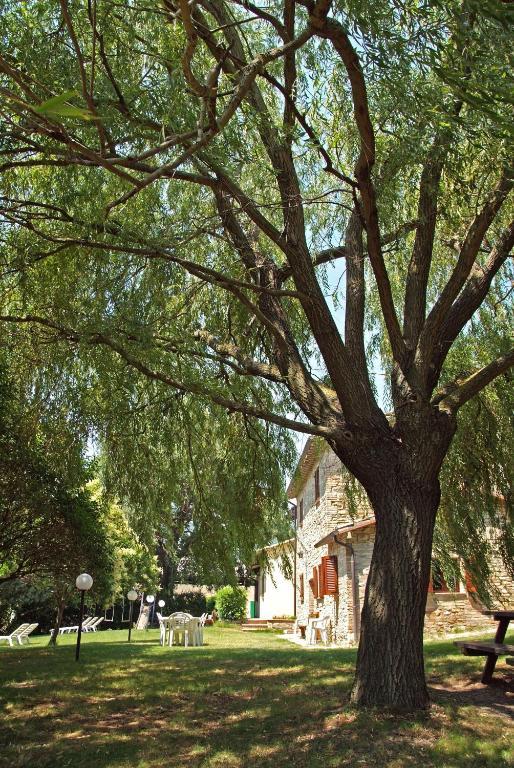 Вилла Agriturismo Nizzi Ассизи Экстерьер фото